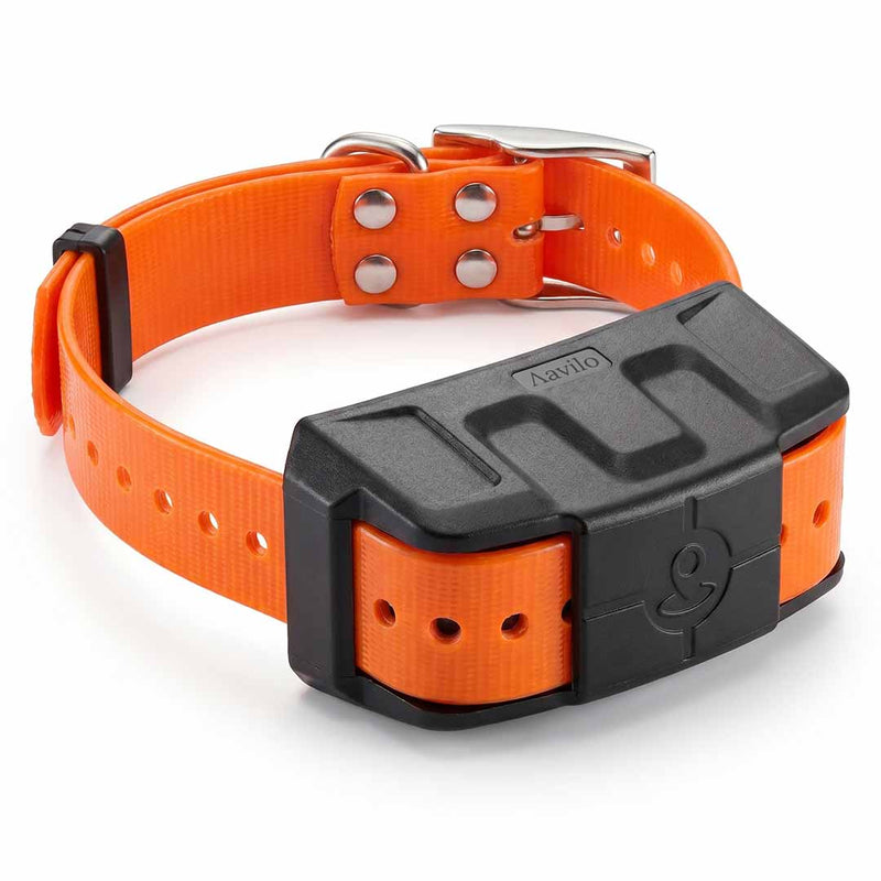 Smart GPS Dog Collar