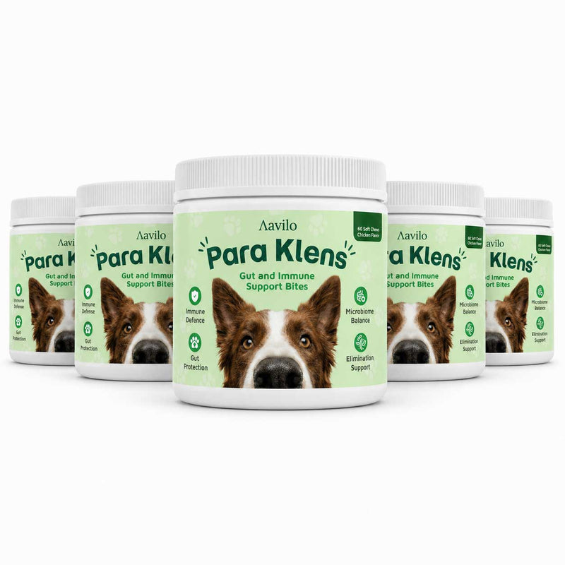 Gut & Immune Support for Dogs with Parasites BUY 3 GET 2 FREE (Best Value)
