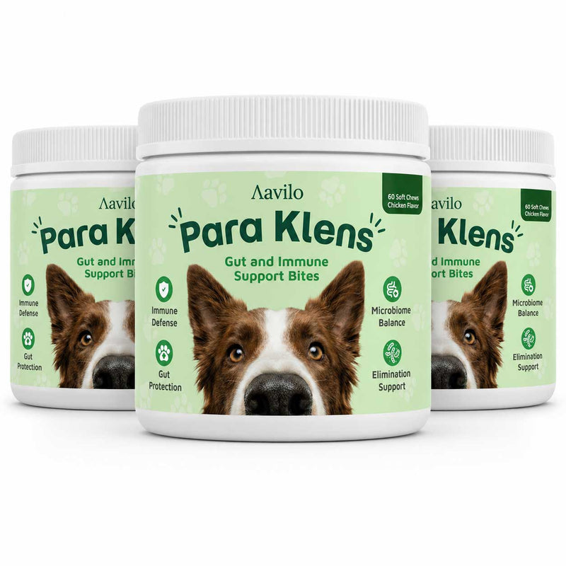 Gut & Immune Support for Dogs with Parasites (BUY 2 GET 1 FREE)