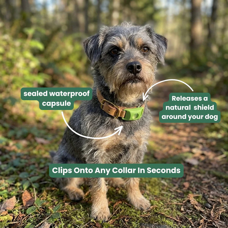 Anti Tick Collar