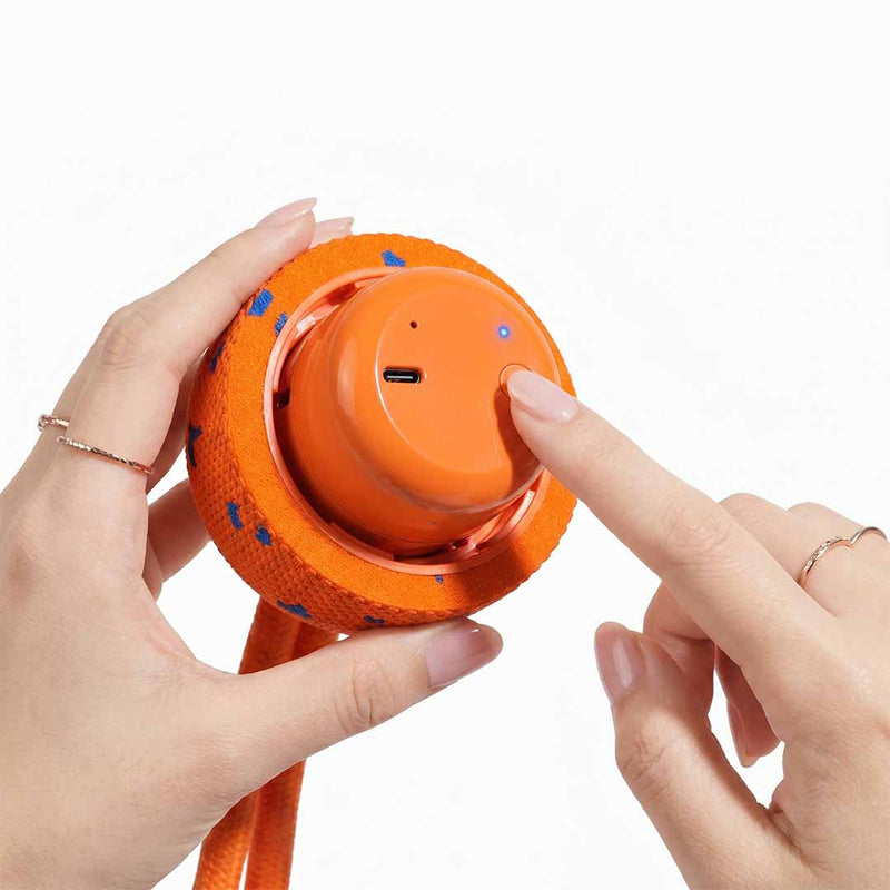Smart Pet Toy