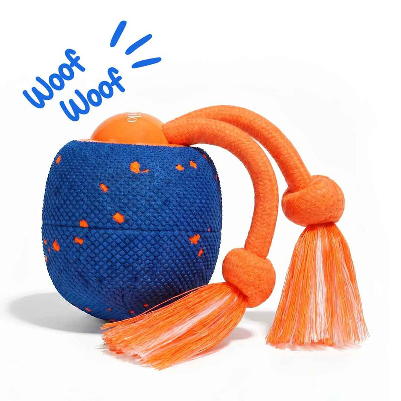 Smart Pet Toy