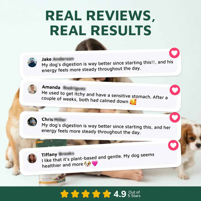Gut & Immune Support for Dogs with Parasites (BUY 2 GET 1 FREE)