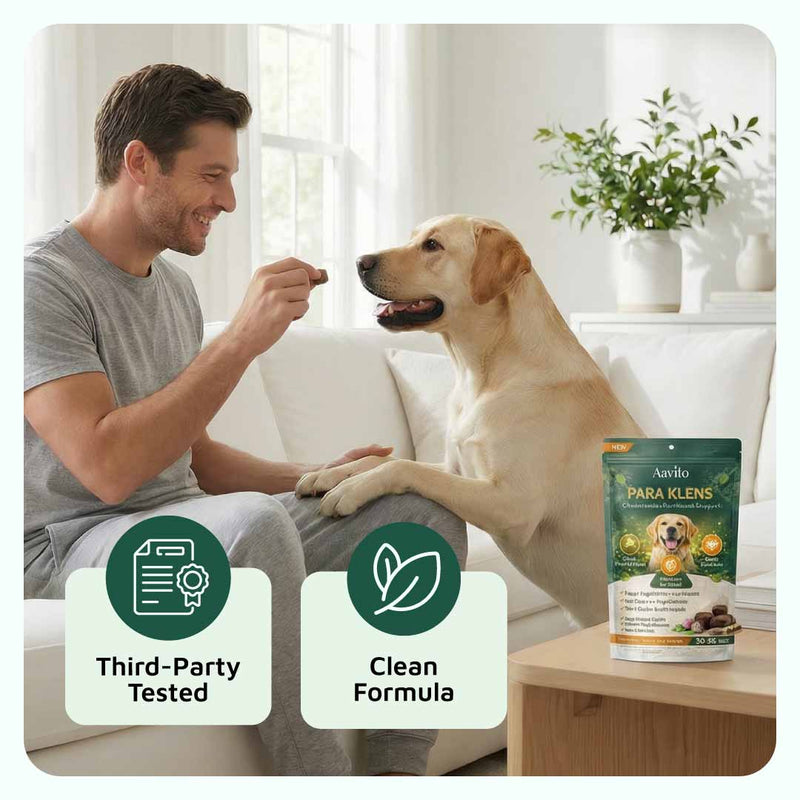 Gut & Immune Support for Dogs with Parasites (BUY 2 GET 1 FREE)