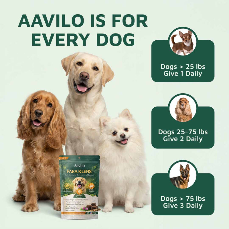 Gut & Immune Support for Dogs with Parasites (BUY 2 GET 1 FREE)