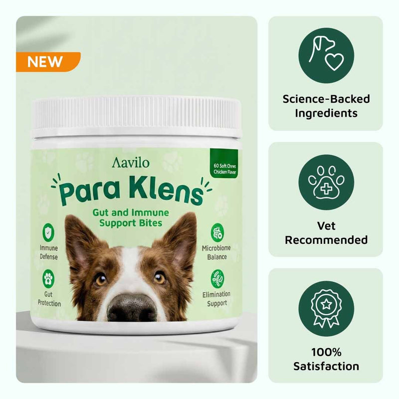 Aavilo Para Klens 2.0