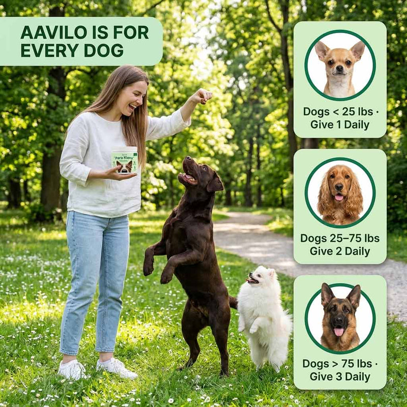 Aavilo Para Klens 2.0