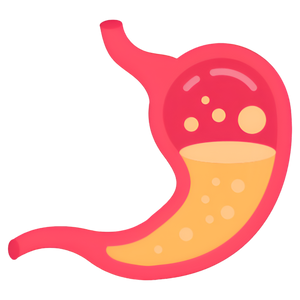 Occasional digestive discomfort